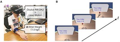 Enhanced Visual Feedback Using Immersive VR Affects Decision Making Regarding Hand Use With a Simulated Impaired Limb